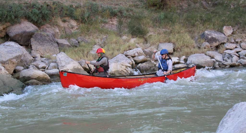 adults escape on outdoor course